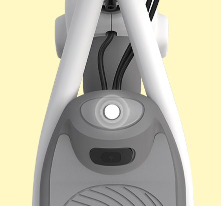 Ninebot Electric Scooter C10