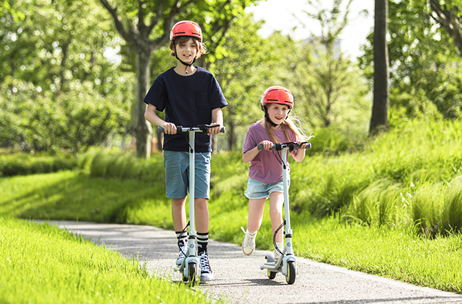 Ninebot Electric Scooter C10